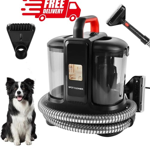 Carpet cleaner spot - spot, wash